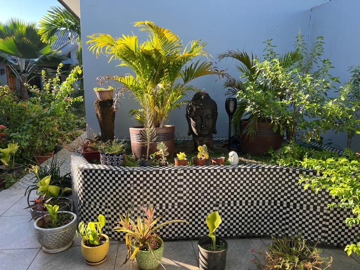 נאדי Pasifika Guesthouse מראה חיצוני תמונה